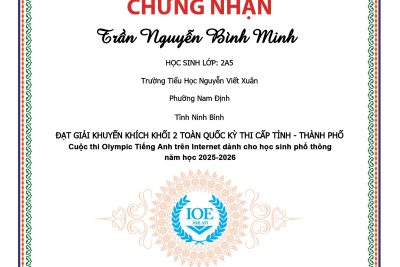 VINH DANH HỌC SINH TRƯỜNG TIỂU HỌC NGUYỄN VIẾT XUÂN TỎA SÁNG TẠI KỲ THI IOE CẤP TỈNH